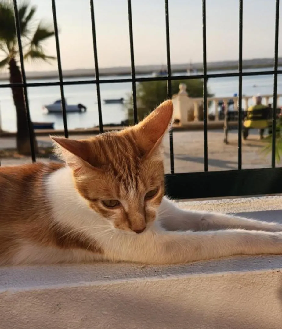 Homestay En La Playa Apartment Isla Cristina